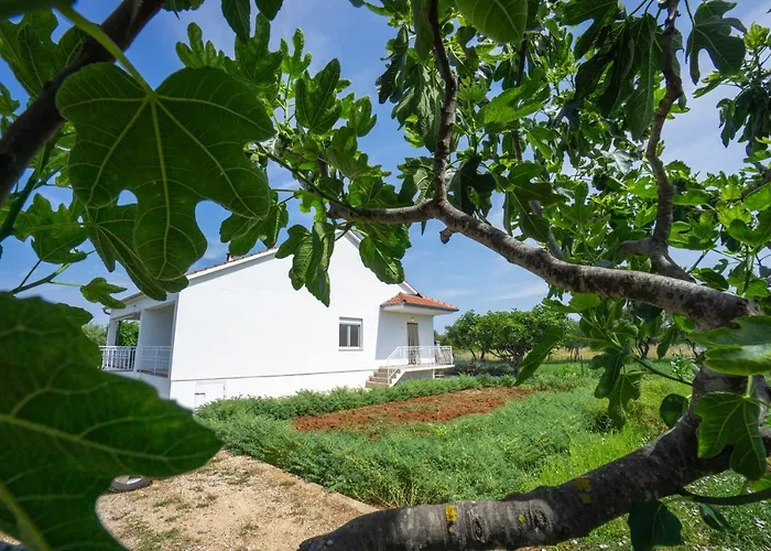 Апартаменты Mirjana *